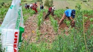 En Ica, el 65.4% de los productores utiliza fertilizantes y alertan mayores costos