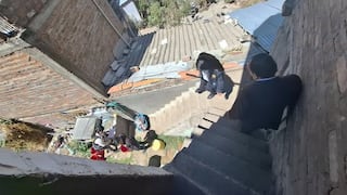 Chupaca: Fiscalía descarta abuso sexual contra niña de 8 años y continúa investigación del caso Vista Alegre