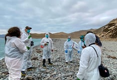 MIDAGRI despliega estrategia integral para proteger la fauna marina ante el impacto de El Niño