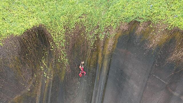 Miraflores: así fue el rescate del perro que quedó atrapado en malla de la Costa Verde (VIDEO)