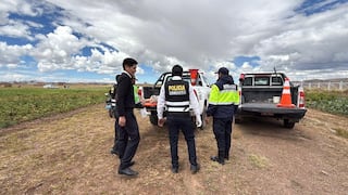 Puno: Adolescente de 15 años fue hallada sin vida en un descampado en Juliaca