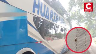 Junín: Pasajeros hallan chinches y pulgas en asientos de bus interprovincial