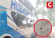 Junín: Pasajeros hallan chinches y pulgas en asientos de bus interprovincial