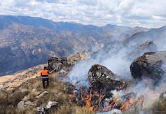 Pasco: Incendio forestal consume cerca de 10 hectáreas de pastizales y pinos en Tápuc