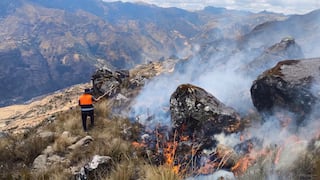 Pasco: Incendio forestal consume cerca de 10 hectáreas de pastizales y pinos en Tápuc