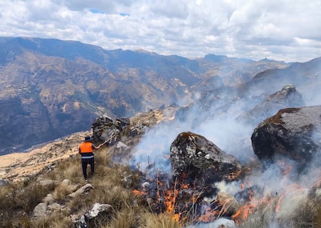 Pasco: Incendio forestal consume cerca de 10 hectáreas de pastizales y pinos en Tápuc