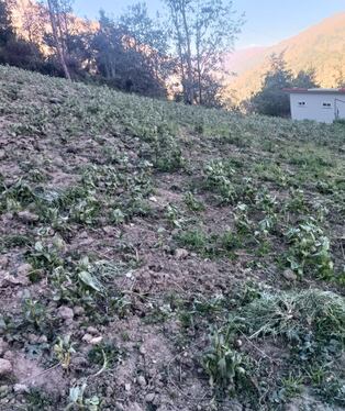 Cambio climático causa severos impactos en la economía agraria