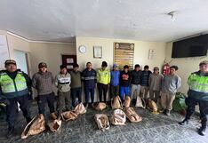 Once detenidos en una mina de Arequipa por intento de hurto de mineral