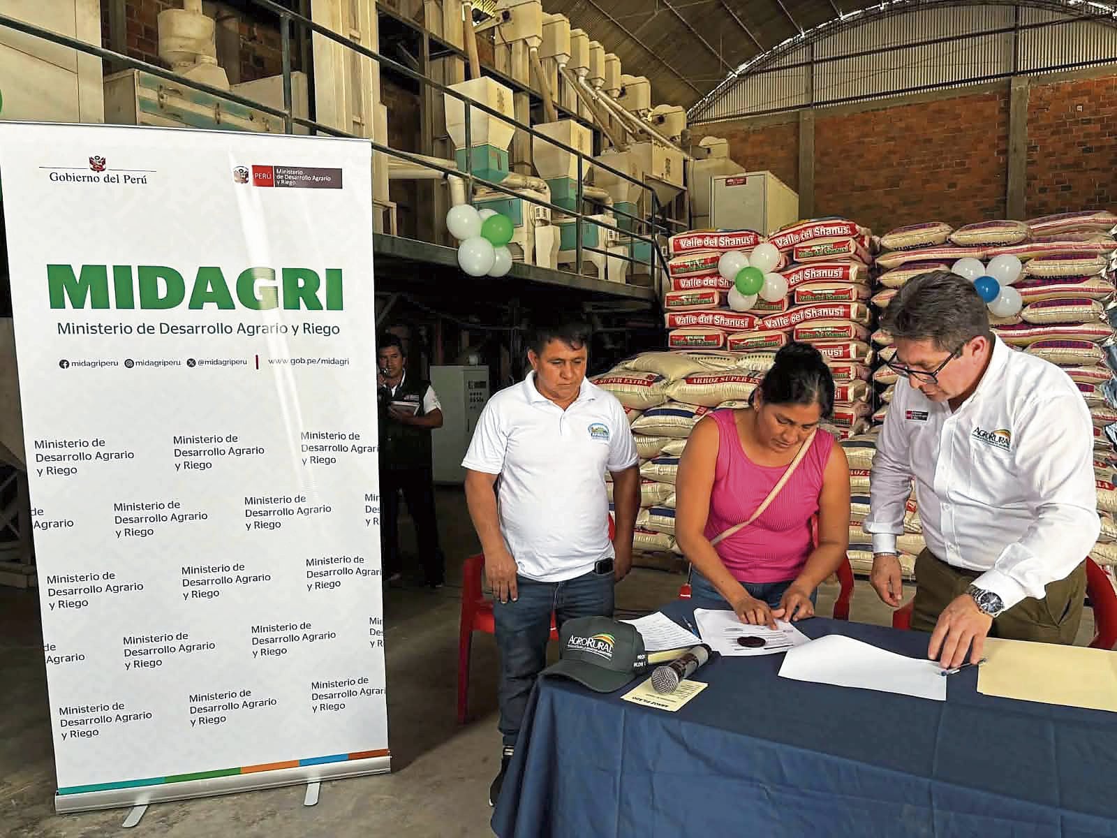 Presupuesto destinado a arroceros en varias regiones del Perú. Foto: Midagri.