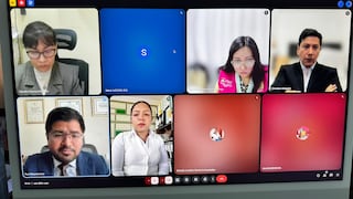 Ica: esperan sentencia por reversión de terreno de 11 hectáreas ubicado en La Victoria