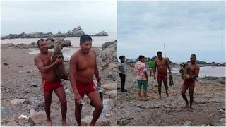 Moquegua: Perrita arrastrada por huaico fue rescatada por policías de salvataje 