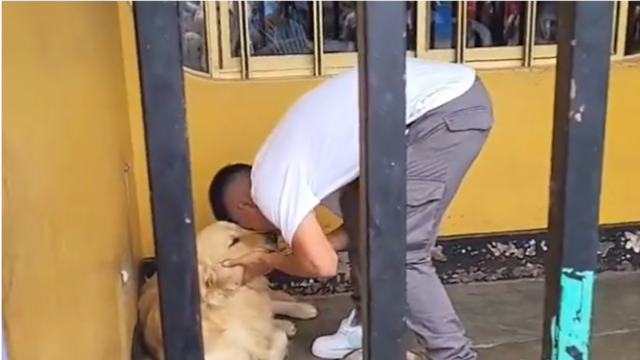 Piero Quispe conmueve a todos tras depedirse de su perrito antes de viajar a México (VIDEO) 