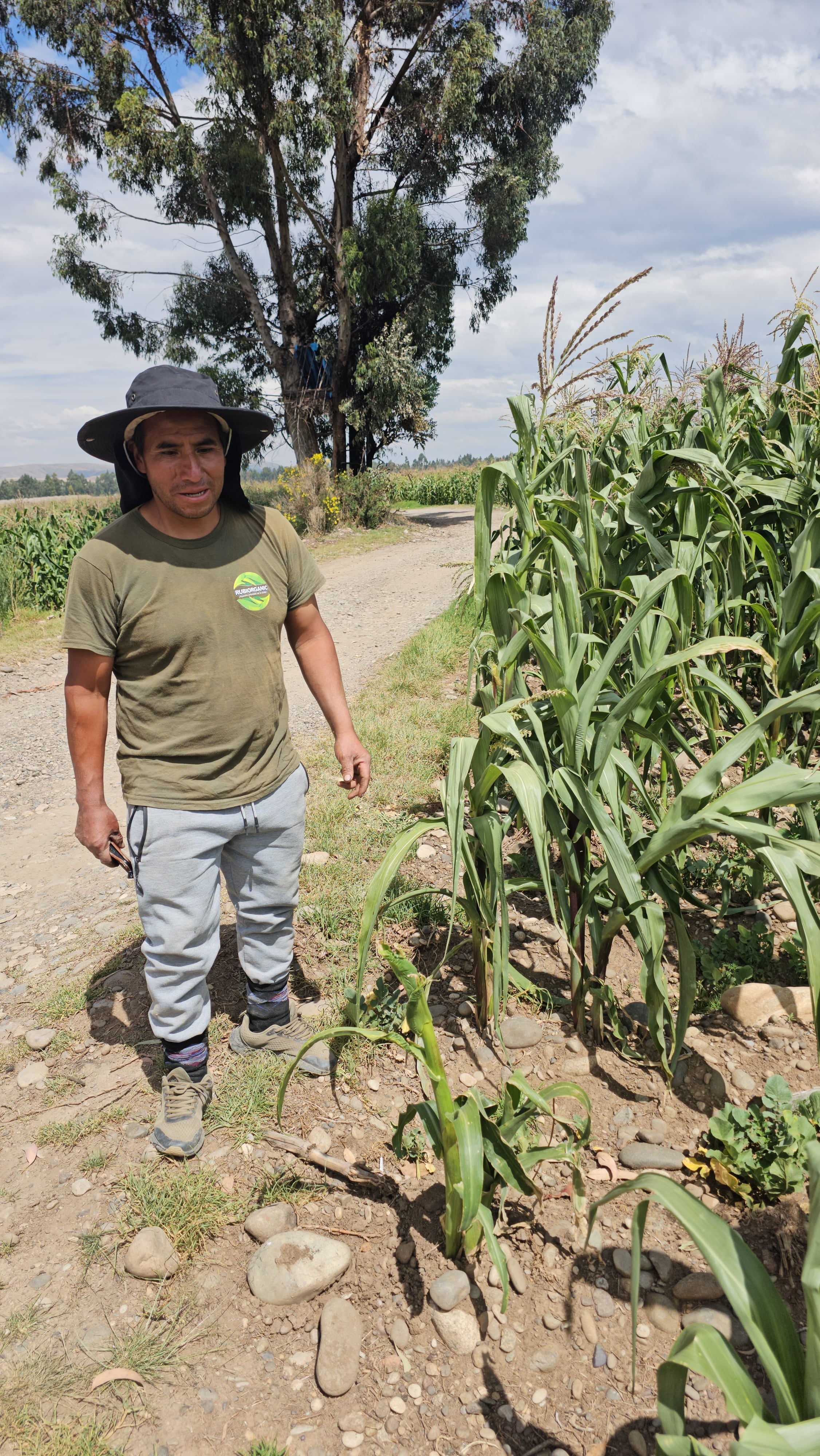 Estrés hídrico causa, incluso, conflictos entre regantes y campesinos en Coyllor