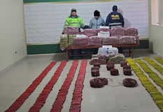 La Libertad: Incautan más de 5 mil explosivos en Quiruvilca
