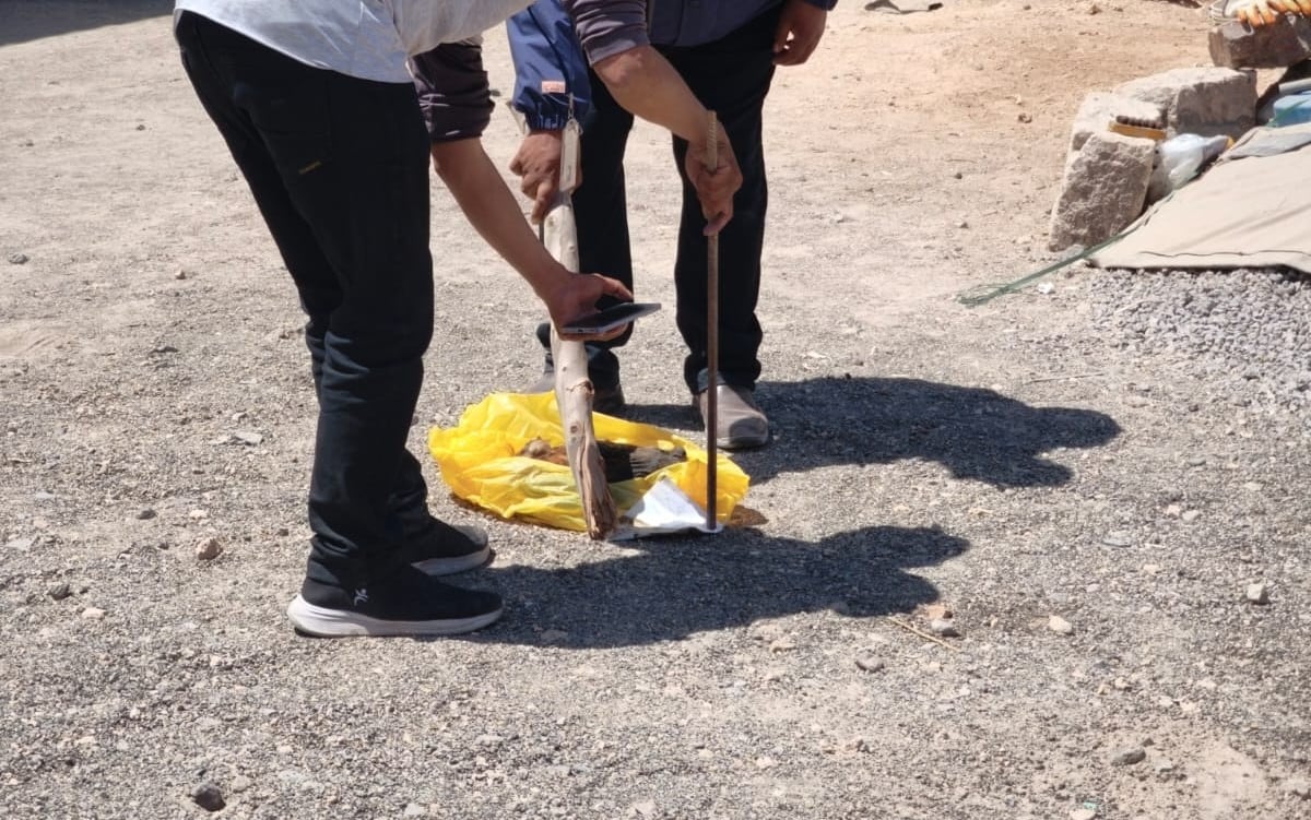 Arequipa: amenazan de muerte a poblador y le dejan cabeza de perro (VIDEO)