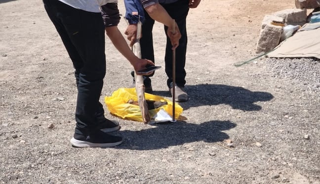 Arequipa: amenazan de muerte a poblador y le dejan cabeza de perro