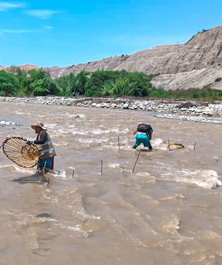 La veda del camarón es hasta el 31 de marzo (Foto: Gerencia de Producción)