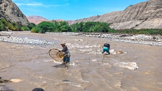 Incumplían la veda del camarón en río Majes y destruyen 29 isangas