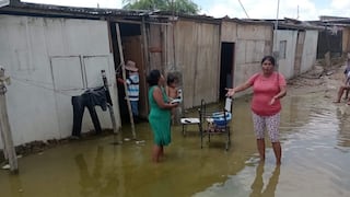 Piura es la segunda región en el país con más casos de leptospirosis