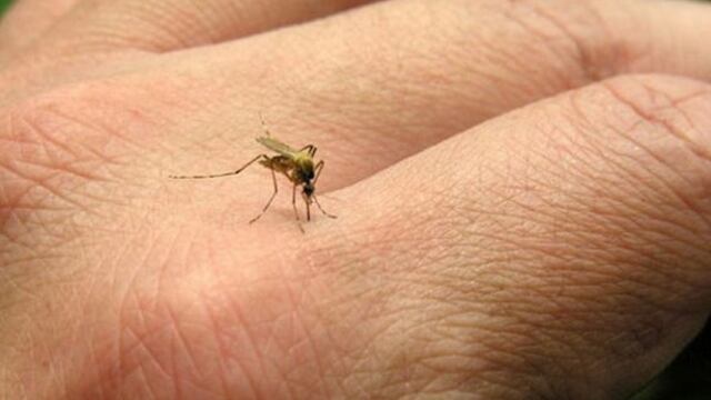 Reino Unido y Bill Gates anuncian plan de 4.000 millones de euros contra el paludismo
