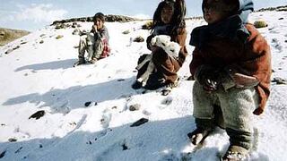 Plan contra Heladas y Friaje no logra apoyo en la región Puno