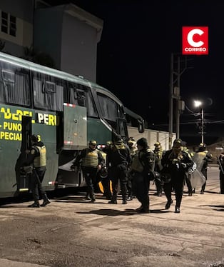 Puno: Detienen a policías por presunta red que facilitaba traslado de contrabando desde Bolivia