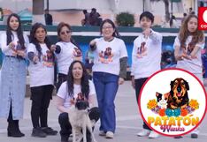 Así se vive la Patatón Wanka, evento que busca recaudar dinero para los animales abandonados (VIDEO)