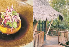 Una visita al Bosque Guardián