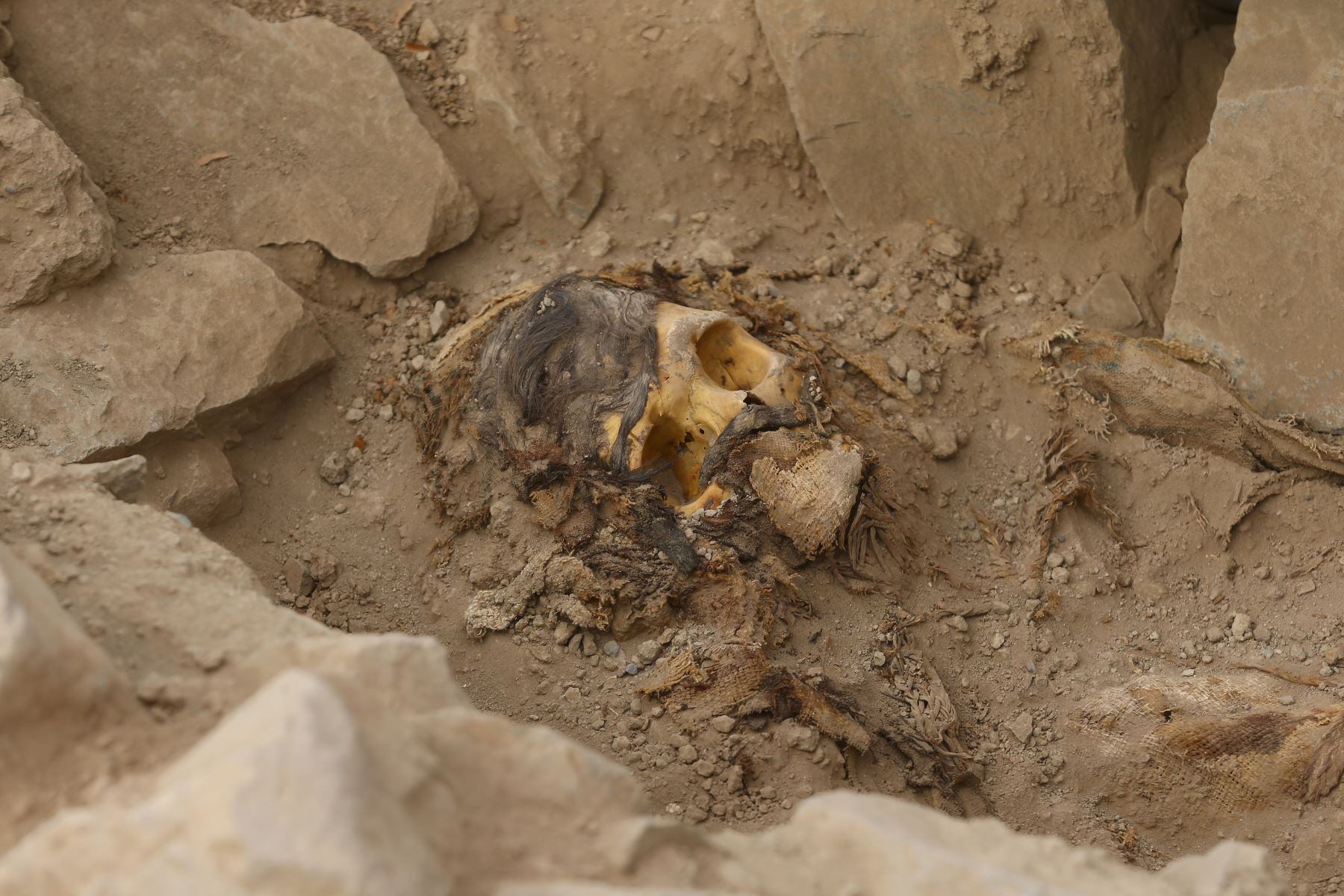 Momia hallada en la Huaca La Florida, en el Rímac. (Foto: Andina)