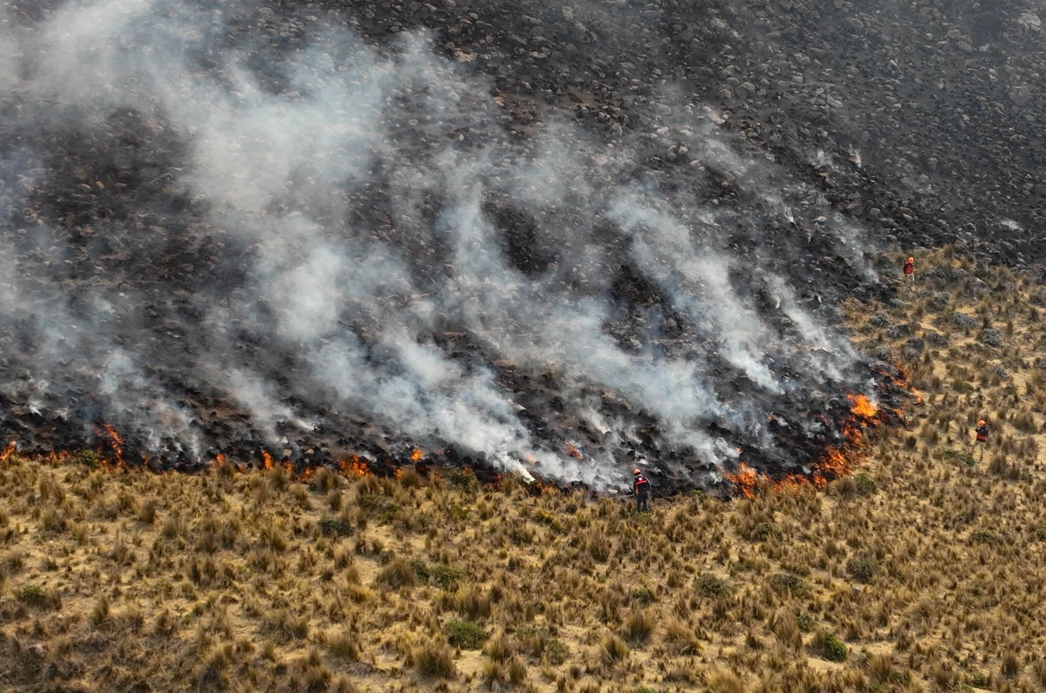 Incendio forestal en el distrito de Toro no puede ser controlado desde el martes