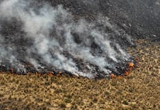 Arequipa: dos incendios forestales en La Unión y uno lleva más de 24 horas