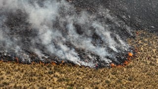 Arequipa: dos incendios forestales en La Unión y uno lleva más de 24 horas