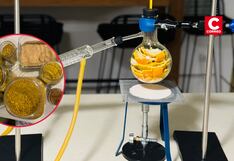 Estudiantes logran disolver tecnopor con solución creada desde una cáscara de naranja