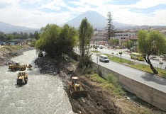 Municipalidad de Arequipa retira árboles durante limpieza del río Chili