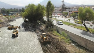 Municipalidad de Arequipa retira árboles durante limpieza del río Chili