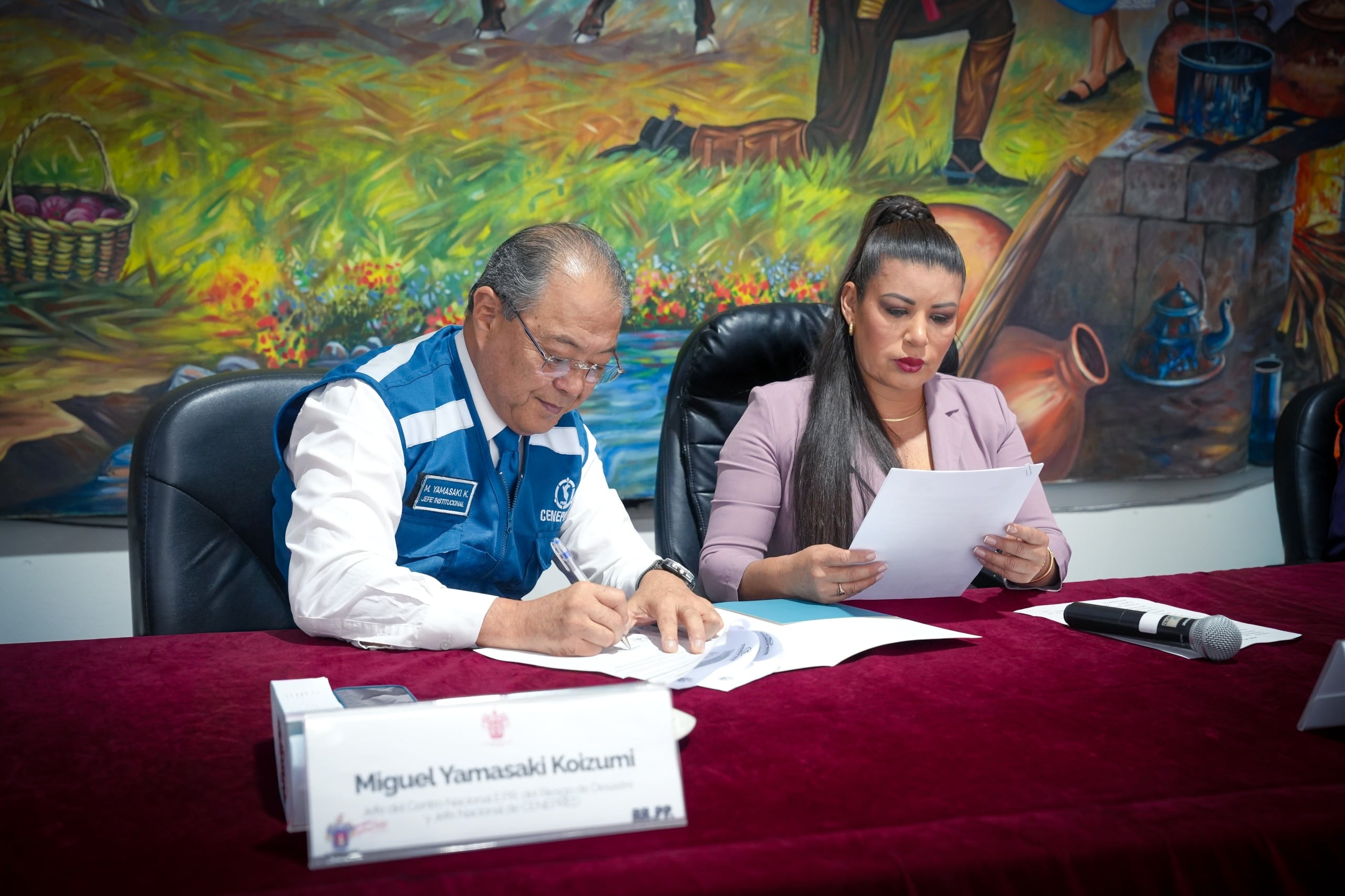 Arequipa recibirá asistencia técnica para prevenir y reducir riesgos de desastres