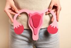 Día Mundial del Cáncer de Ovario: Cada año se registran 1164 casos en Perú