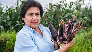 Investigadora peruana será premiada por el Gobierno de Chile por innovación en maíz morado