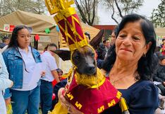 Museo Sicán realiza concurso para perros peruanos sin pelo en Lambayeque