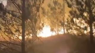 Incendio forestal arrasa más de 80 hectáreas en Lambayeque y amenaza caseríos cercanos