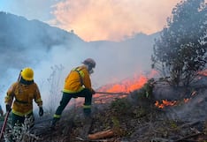 Cae sujeto acusado de iniciar incendio forestal en Sacsayhuamán (FOTOS)