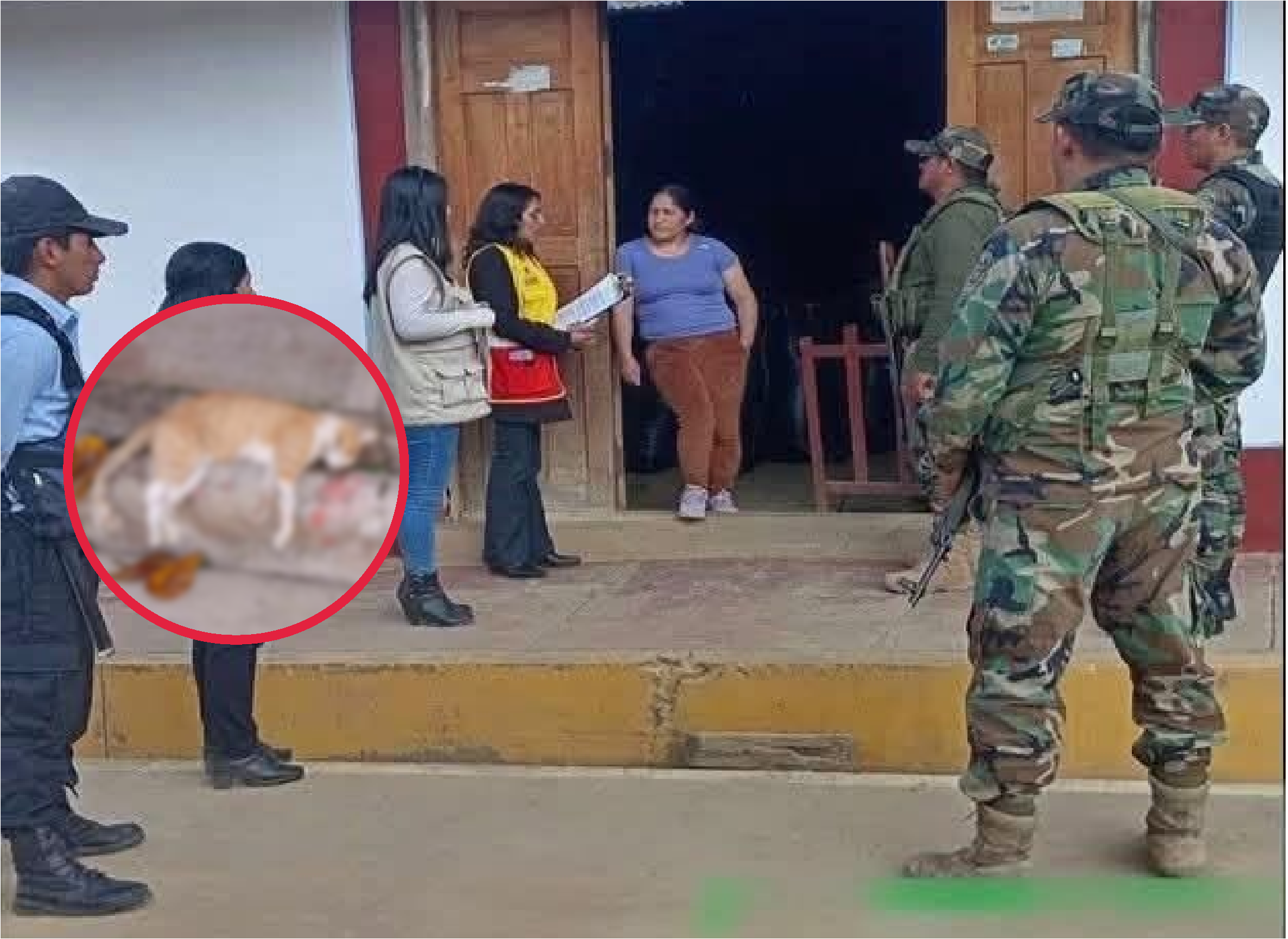 Huancavelica: adolescente amenaza con cuchillo a su madre y habría matado a sus dos gatos por dinero