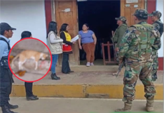 Huancavelica: adolescente amenaza con cuchillo a su madre y habría matado a sus dos gatos por dinero