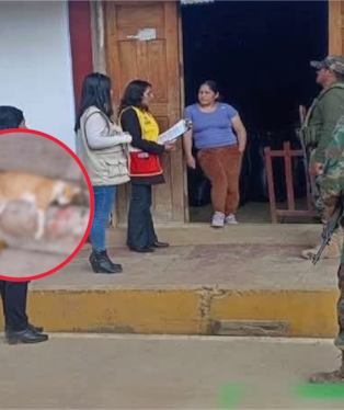 Huancavelica: adolescente amenaza con cuchillo a su madre y habría matado a sus dos gatos por dinero