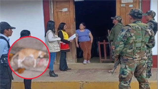 Huancavelica: adolescente amenaza con cuchillo a su madre y habría matado a sus dos gatos por dinero