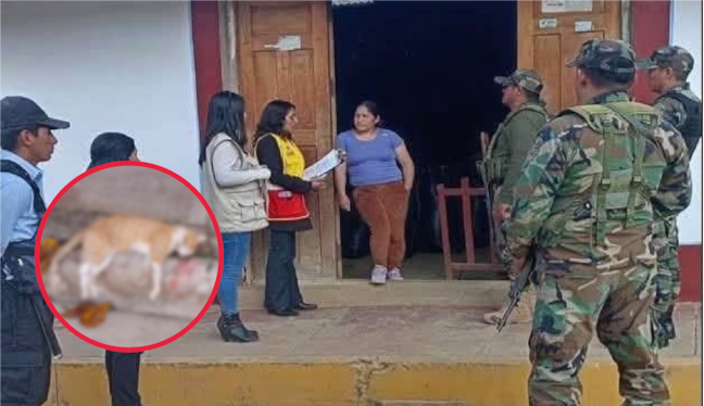 Huancavelica: adolescente amenaza con cuchillo a su madre y habría matado a sus dos gatos por dinero