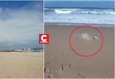 Ica: hallan el cuerpo sin vida de un hombre en playa por Punta Lomitas en Ocucaje