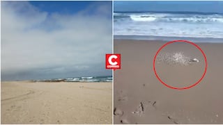 Ica: hallan el cuerpo sin vida de un hombre en playa por Punta Lomitas en Ocucaje