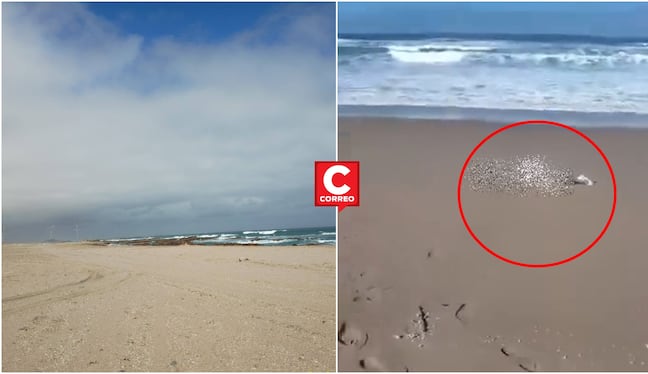 Ica: hallan el cuerpo sin vida de un hombre en playa por Punta Lomitas en Ocucaje