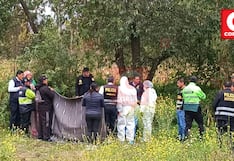 Jauja: Asesinan a joven madre de 18 puñaladas y una brutal golpiza